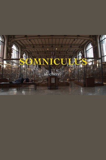 Póster de Somniculus