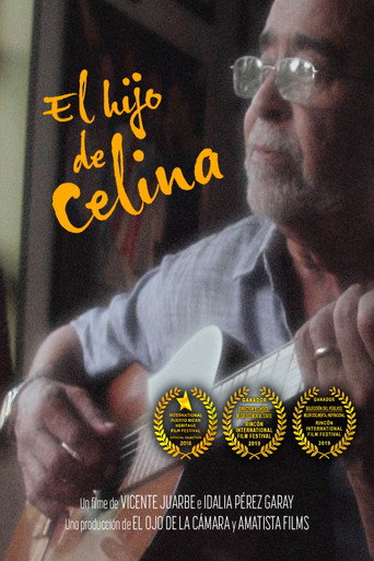 Póster de El Hijo de Celina