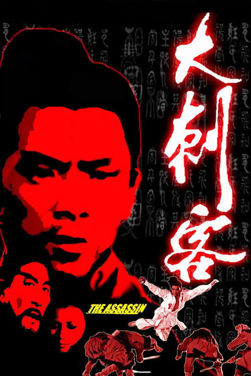Póster de 大刺客