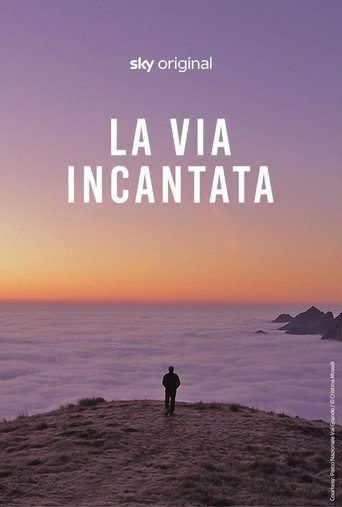 Póster de La via incantata