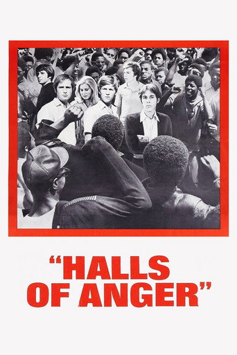 Póster de Halls of Anger
