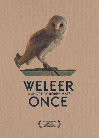 Póster de Weleer