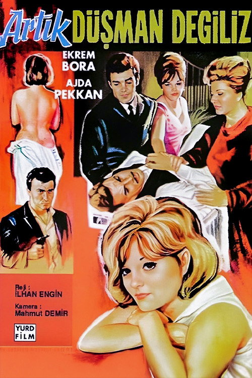 Póster de Artık Düşman Değiliz