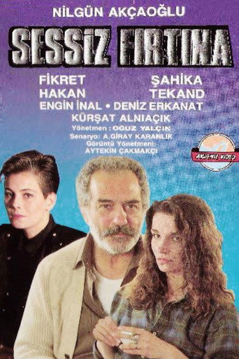 Póster de Sessiz Fırtına