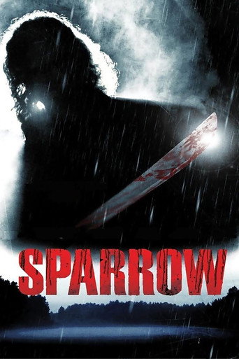 Póster de Sparrow