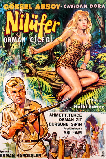 Póster de Nilüfer Orman Çiçeği