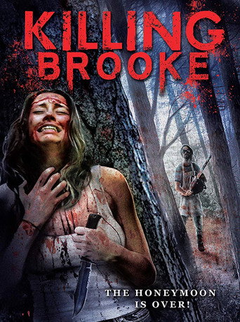Póster de Killing Brooke