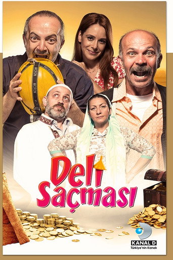 Póster de Deli Saçması