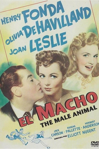 Póster de El macho