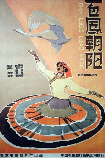 Póster de 百凤朝阳