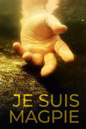 Póster de Je suis Magpie