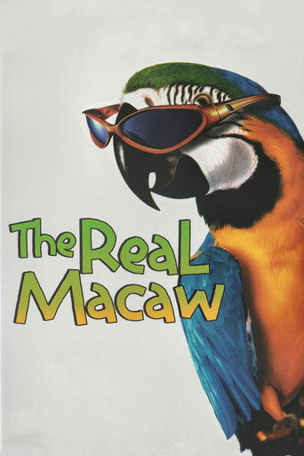 Póster de The Real Macaw