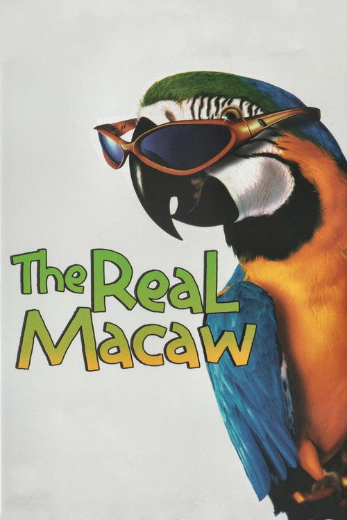 Póster de The Real Macaw