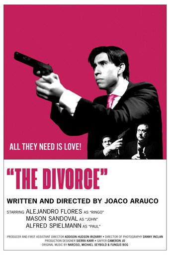 Póster de The Divorce