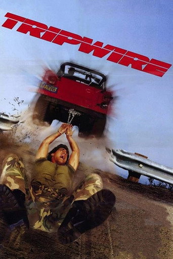 Póster de Tripwire