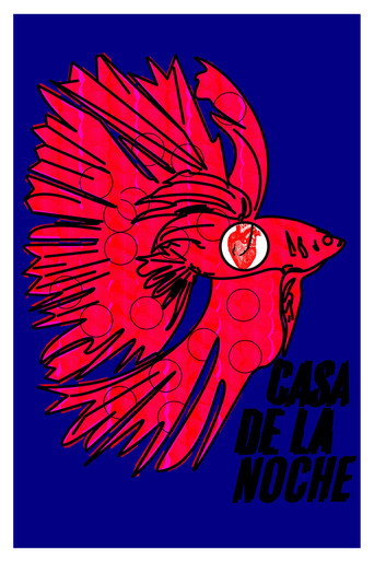 Póster de Casa de la Noche