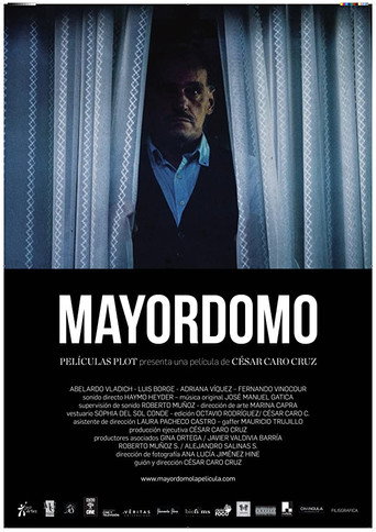 Póster de Mayordomo