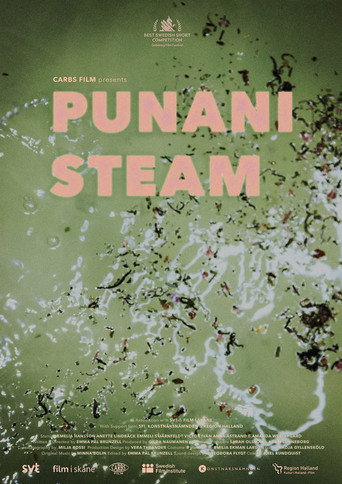 Póster de Punani Steam