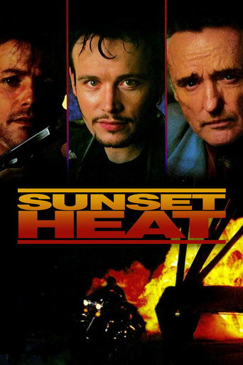Póster de Sunset Heat