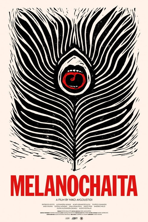 Póster de Melanochaita