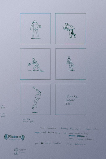 Póster de irlande cahier bleu