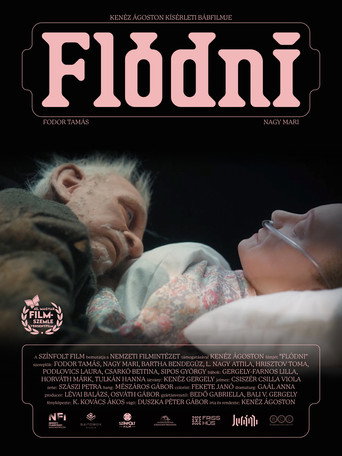 Póster de Flódni
