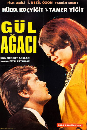 Póster de Gül Ağacı