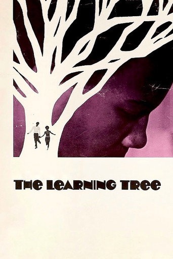 Póster de The Learning Tree