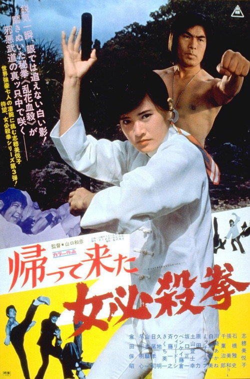 Póster de 帰って来た女必殺拳