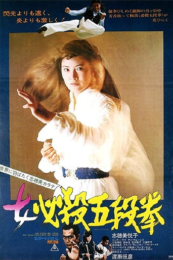 Póster de Sister Street Fighter: Fifth Level Fist