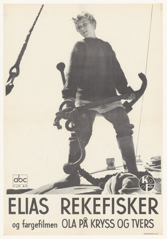 Póster de Elias rekefisker