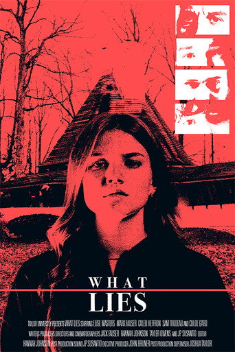 Póster de What Lies
