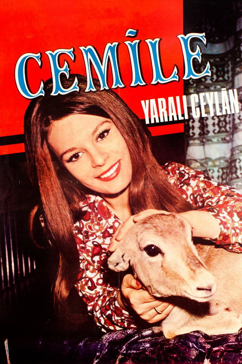 Póster de Cemile: Yaralı Ceylan