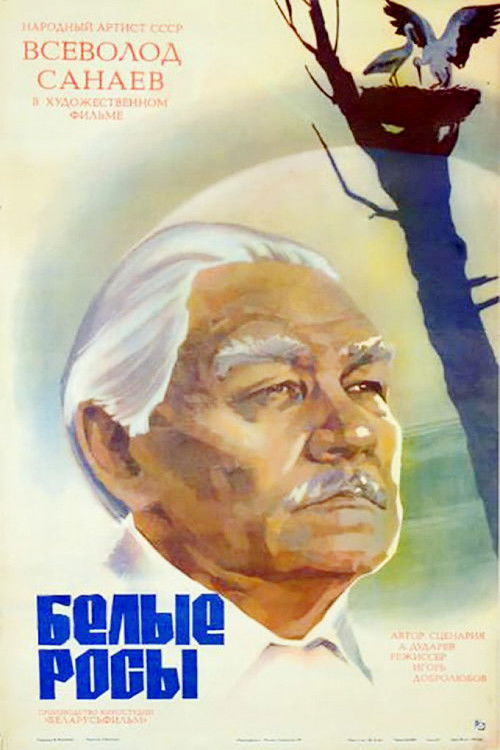 Póster de Белые росы