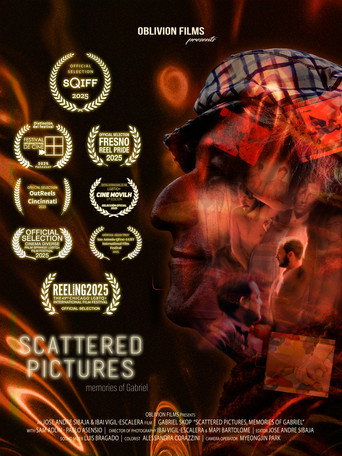 Póster de Scattered Pictures