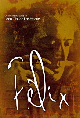 Póster de Félix