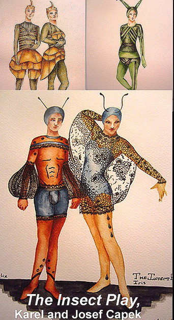Póster de The Insect Play