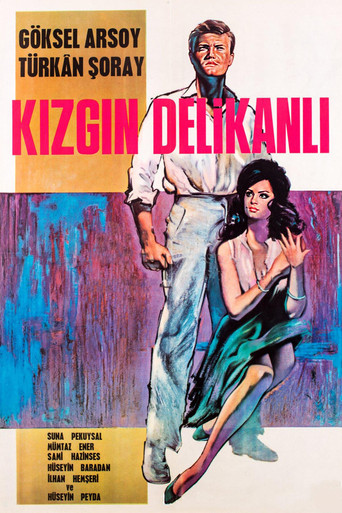 Póster de Kızgın Delikanlı
