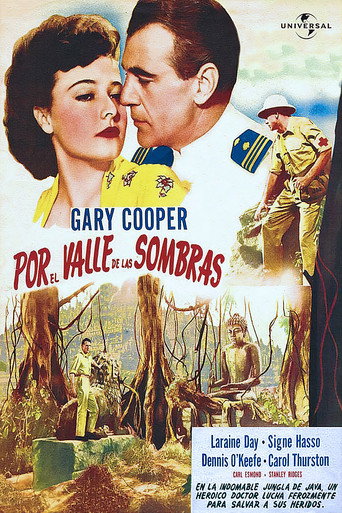 Póster de Por el valle de las sombras