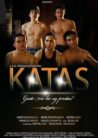 Póster de Katas