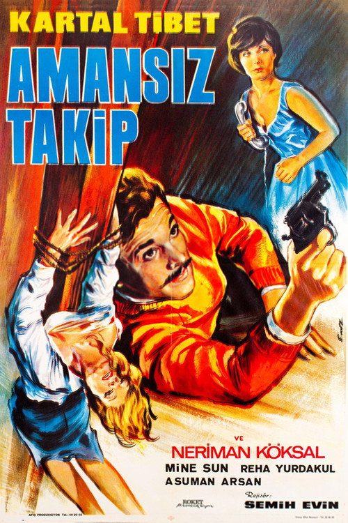 Póster de Amansız Takip