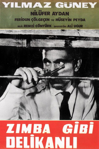 Póster de Zımba Gibi Delikanlı