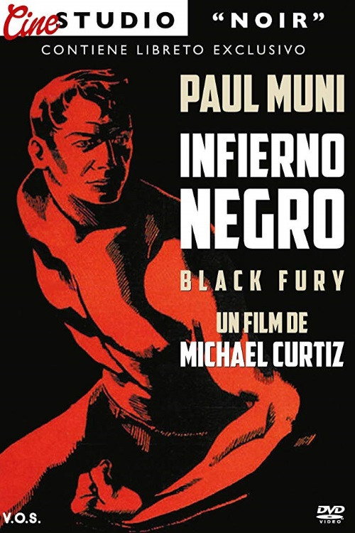 Póster de Black Fury