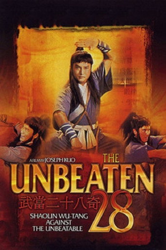 Póster de 武當二十八奇