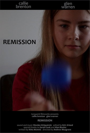Póster de Remission