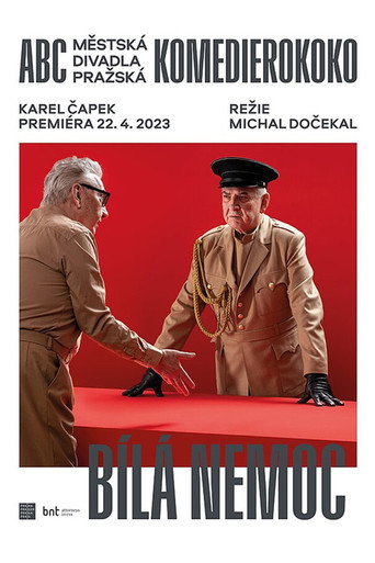 Póster de Bílá nemoc