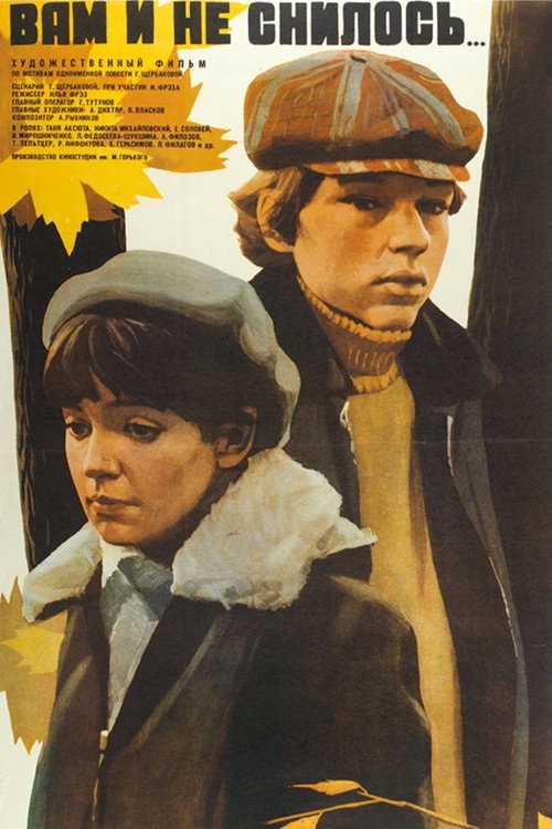 Póster de Вам и не снилось