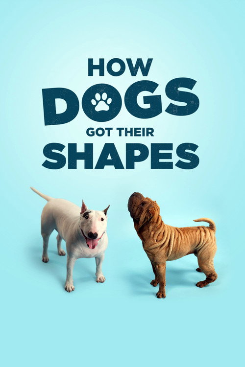 Póster de How Dogs Got Their Shapes