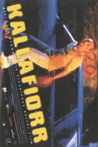 Póster de Kallafiorr