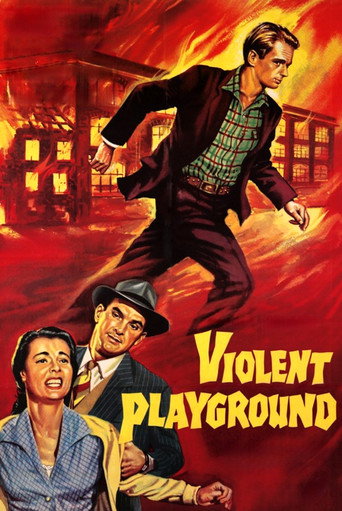 Póster de Violent Playground